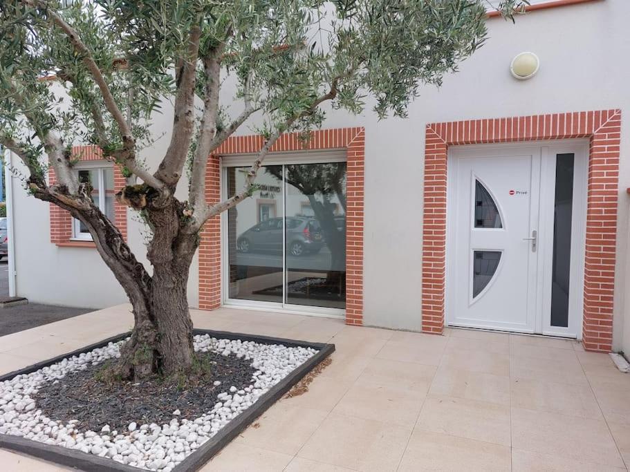Apartamento T3 Climatise, Parking Et Jardin Quartier Des Marots A Colomiers Exterior foto